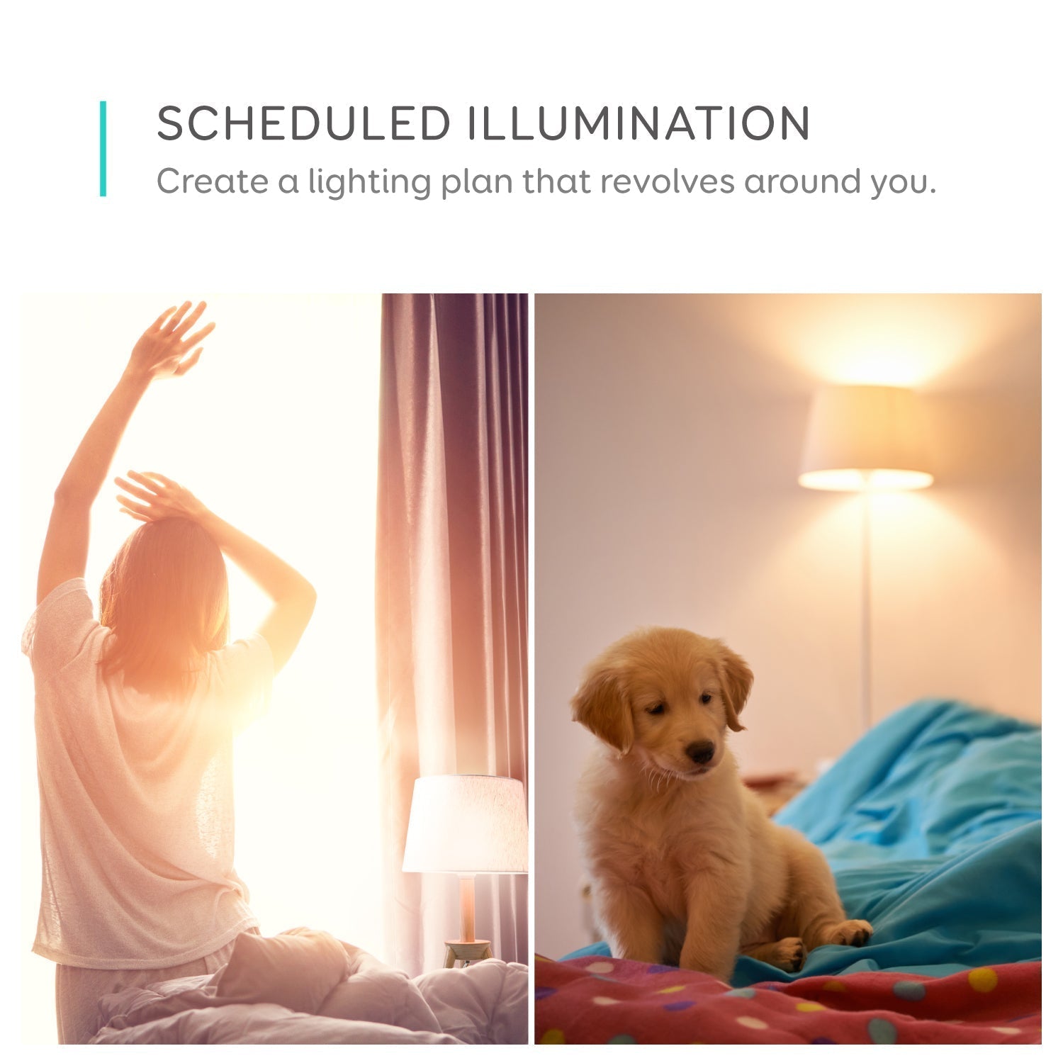 Eufy Lumos Smart Bulb - Tunable White -  fra Eufy - nu kun 209 kr. Hos HjemTek 